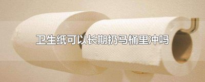 ​卫生纸可以长期扔马桶里冲吗