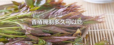 ​香椿腌制多久可以吃