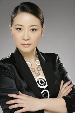 陈小艺简历个人资料-图3 陈小艺简历个人资料-图3