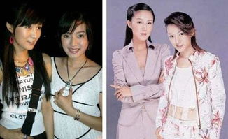 鲍蕾鲍莉个人资料及近况和图片 两人什么关系-图2