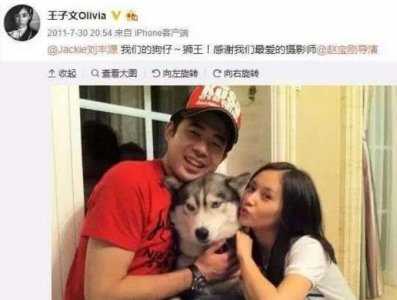 ​王子文老公刘丰源个人资料 王子文为什么离婚