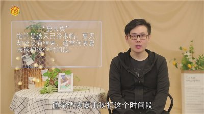 ​夏未央什么意思