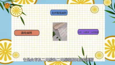 ​涤纶是什么面料