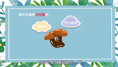 ​黑牛肝菌有毒吗