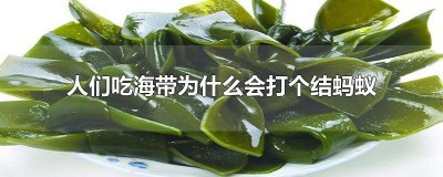 ​人们吃海带为什么会打个结蚂蚁