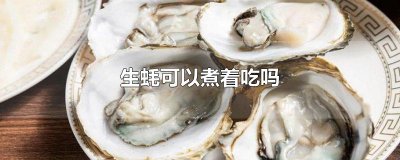 ​生蚝可以煮着吃吗