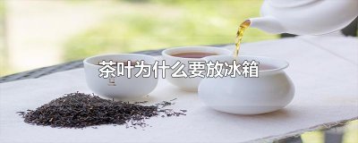 ​茶叶为什么要放冰箱