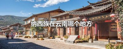 ​纳西族在云南哪个地方