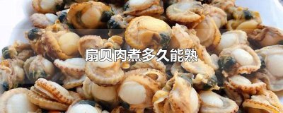 ​扇贝肉煮多久能熟