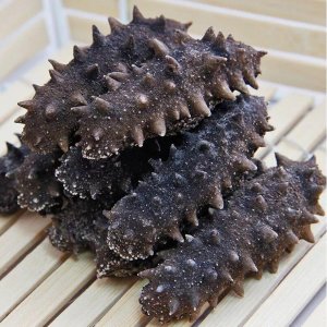 ​干海参的储藏和保存方法（干海参储存冷藏还是冷冻）