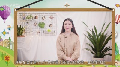 ​珊瑚是生物吗