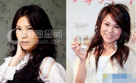 蔡健雅老公曝光 蔡健雅整容了吗