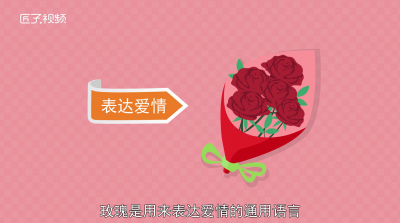 ​101朵玫瑰代表什么意思