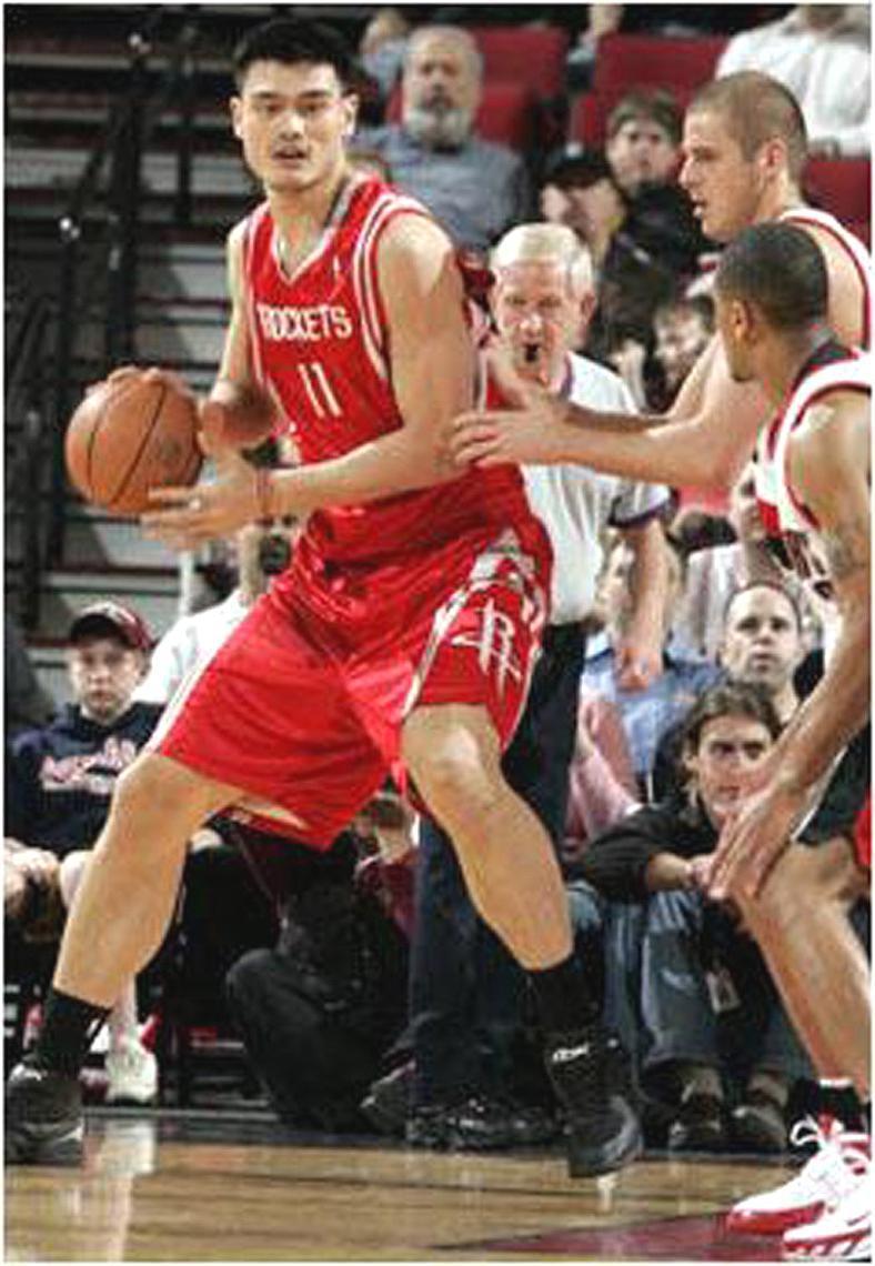 姚明个人资料写真作品