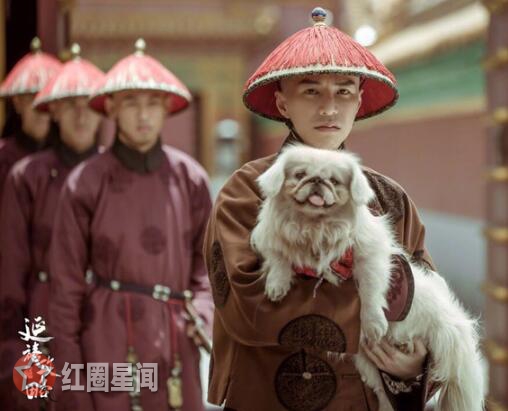 王冠逸真实身高年龄多大 王冠逸是秦岚签约艺人吗