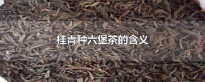 ​桂青种六堡茶的含义