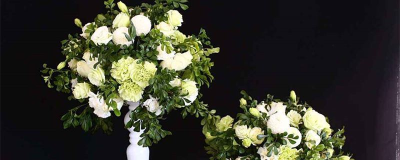 代表友谊的花(图1)