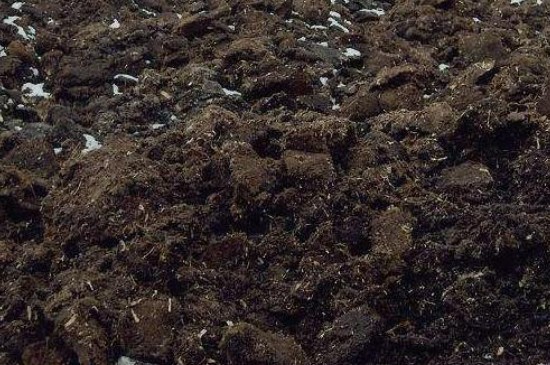 珍珠岩养花注意事项(图2)