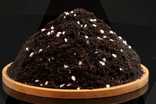 珍珠岩养花注意事项(图4)