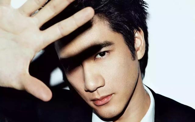 王力宏为什么一直那么帅（王力宏43岁了来聊聊王力宏）(22)