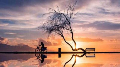 ​虞美人教案优质课，虞美人教学设计一等奖