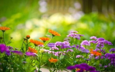 ​教师学期工作计划个人，新学期教师工作计划范文