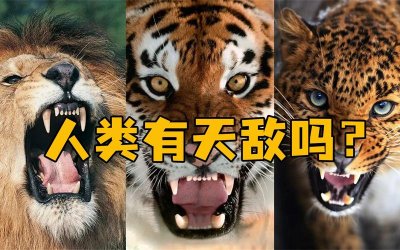 ​人类的三个天敌是什么（假如人类也有个天敌会怎么样呢）