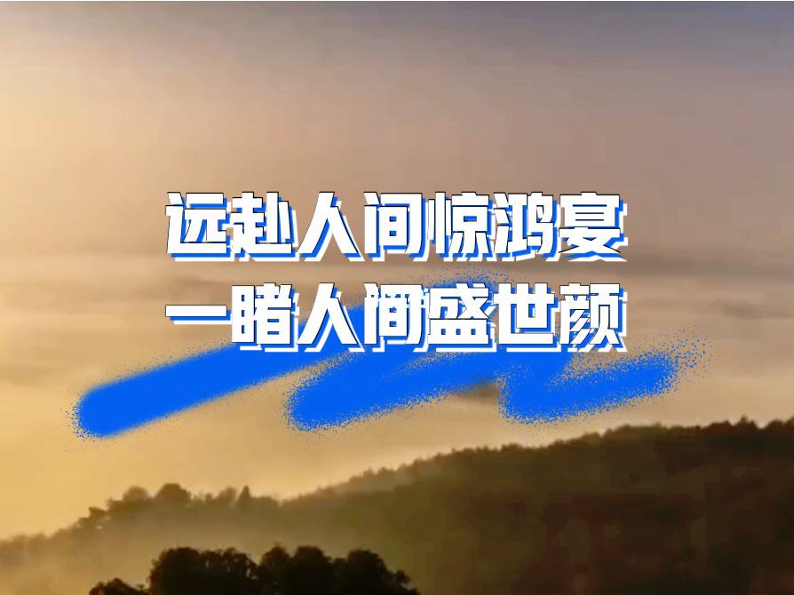 远赴人间惊鸿宴的意思，远赴人间惊鸿宴的下一句是什么 