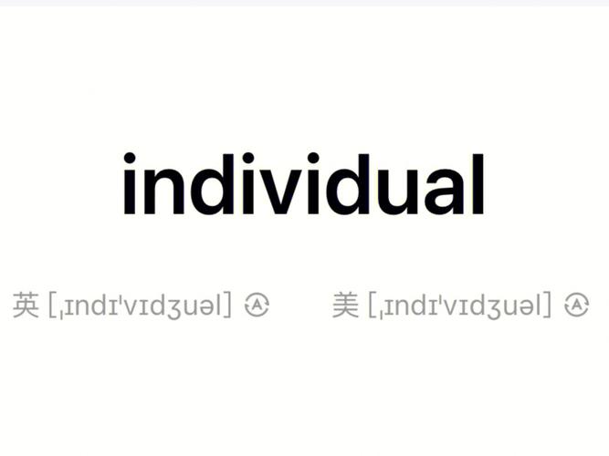 individual什么意思(individual的意思是什么)