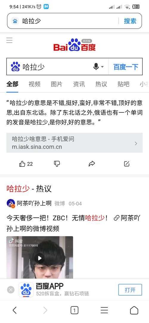 哈拉少是什么意思