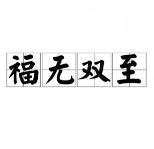 ​福无双至的下一句（这句话什么意思）