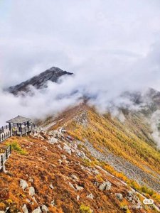 ​云横秦岭是什么意思（云横秦岭指什么）