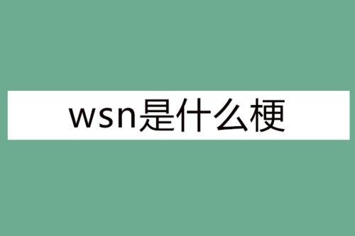 wsn是什么梗（wsn的意思）