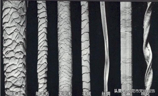 羊毛比羊绒便宜多少（羊绒羊毛价格差那么远）(4)