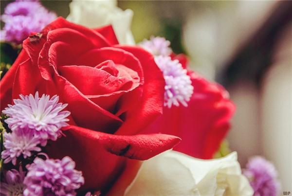 凌晨三点钟经常醒来是什么原因(为什么凌晨34点会醒来)(2)