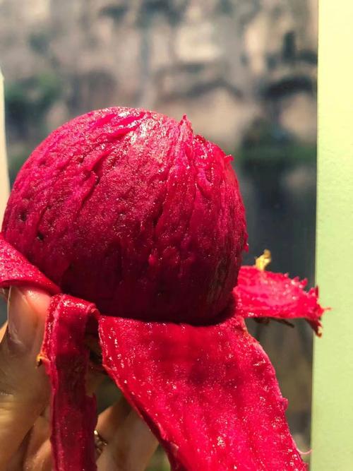 红绣球火龙果的功效(红绣球火龙果的功效是什么)