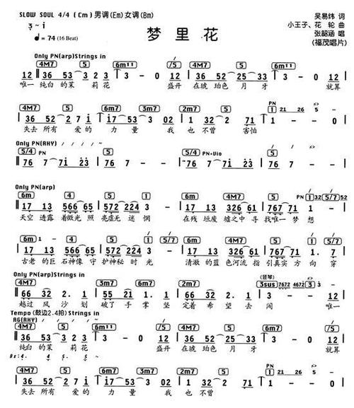 梦里花歌词(梦里花歌词是什么)