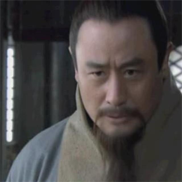 郦生为什么获得沛公的重用(郦生说齐不成反下油锅)(6)