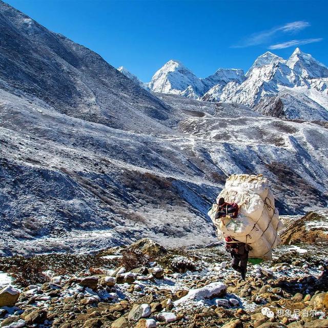 户外始祖鸟冲锋衣(让户外装备回归自然)(12)