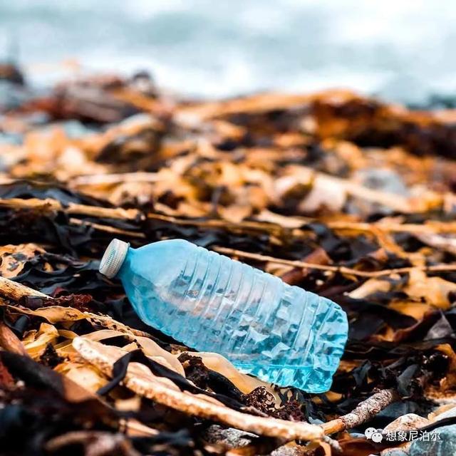 户外始祖鸟冲锋衣(让户外装备回归自然)(15)