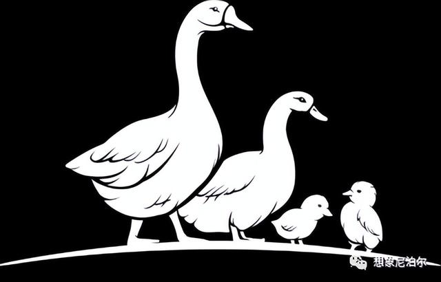 户外始祖鸟冲锋衣(让户外装备回归自然)(10)