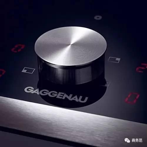 爱马仕的三大巨头(8个家电界的爱马仕品牌)(24)