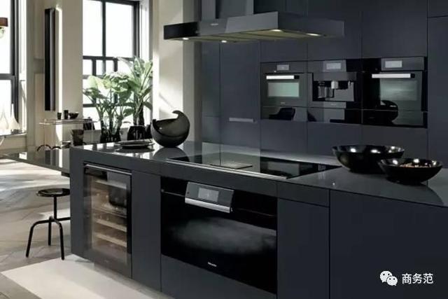 爱马仕的三大巨头(8个家电界的爱马仕品牌)(14)