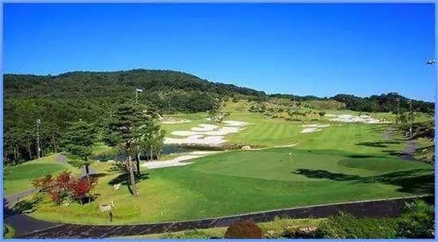 被抵制的韩国乐天现状(曾被国人强烈抵制的乐天集团)(14)