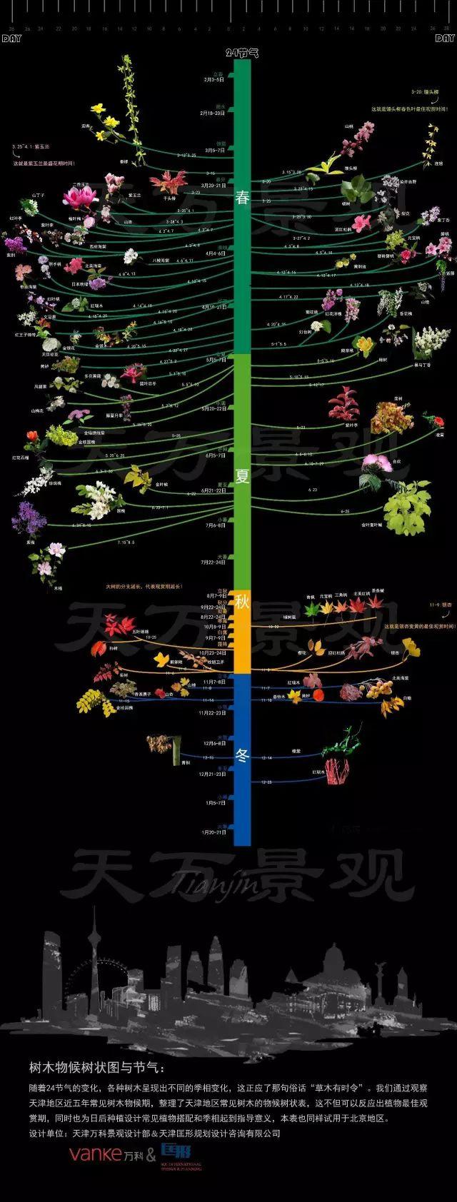 各种植物开花时间表（一张图看懂44种植物花开时间）(45)