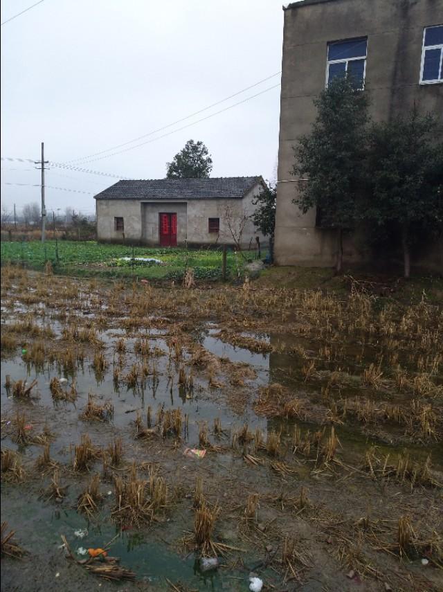 苟杳与吕洞宾真实存在吗（狗为什么要咬吕洞宾呢）(5)