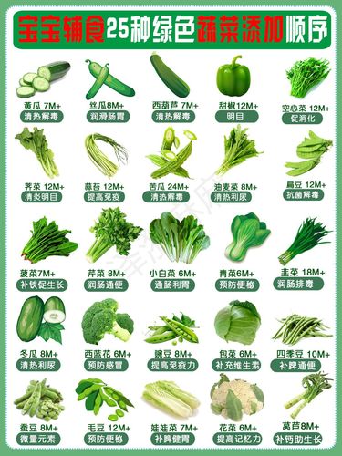 常见的蔬菜种类100种（常见的100种蔬菜种类）
