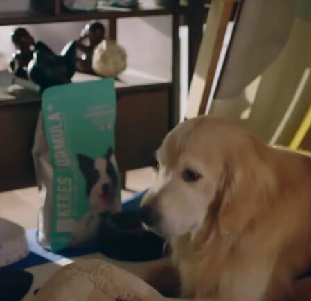 下一站是幸福贝勒爷是什么品种