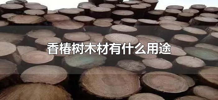 香椿树木材有什么用途 香椿树木材有什么用途