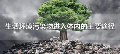 ​生活环境污染物进入体内的主要途径（环境污染物进入人体的主要途径是什么）